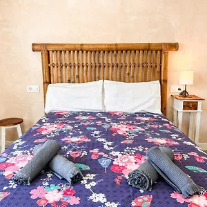 Cozy House - Miso House Apartamento